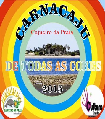 Reunião define como ficarão equipes de Organização do Carnaval de Cajueiro da Praia - Imagem 1