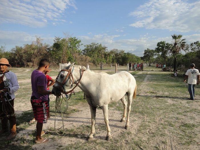 São Sebastião; Noite dos vaqueiros - Imagem 10