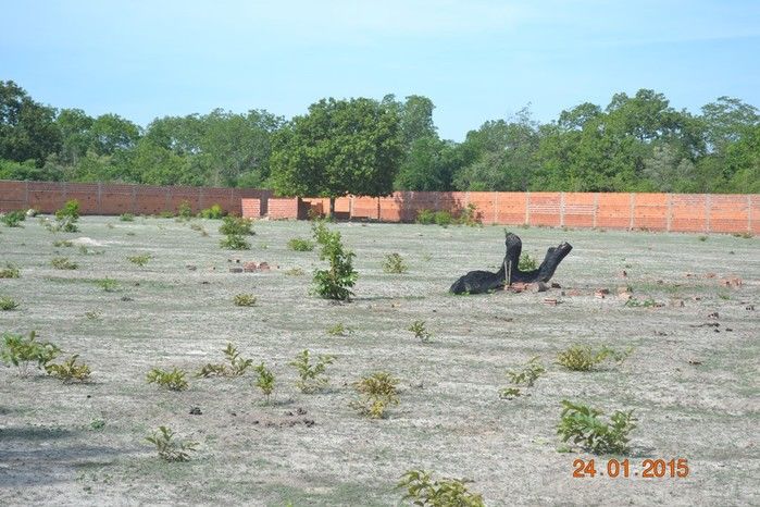 Obras do Estádio de Futebol de Boa Hora estão em ritmo acelerado - Imagem 8