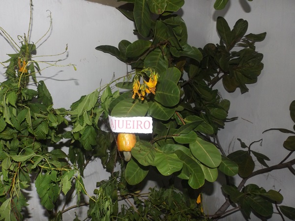 Explanação do final da jornada pedagógica 2014 e início dos trabalhos em 2015 - Imagem 117