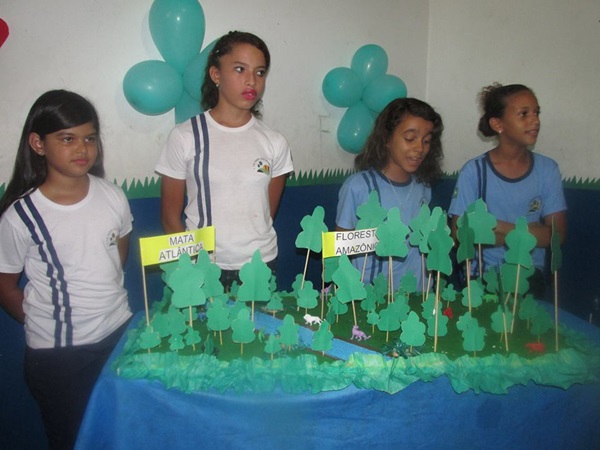 Explanação do final da jornada pedagógica 2014 e início dos trabalhos em 2015 - Imagem 8