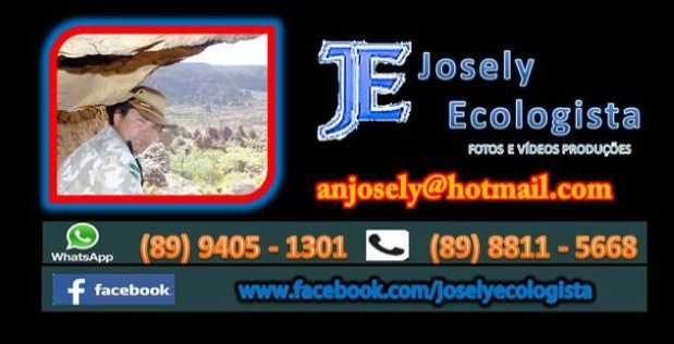 Embaixador da Alemanha e comitiva visita o Piauí e vai a Picos. - Imagem 36