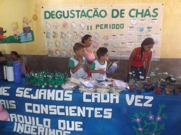 Explanação do final da jornada pedagógica 2014 e início dos trabalhos em 2015 - Imagem 53