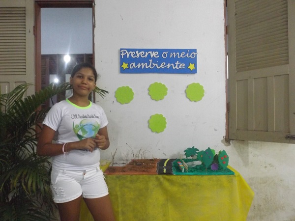 Explanação do final da jornada pedagógica 2014 e início dos trabalhos em 2015 - Imagem 104