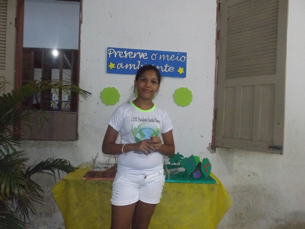 Explanação do final da jornada pedagógica 2014 e início dos trabalhos em 2015 - Imagem 103