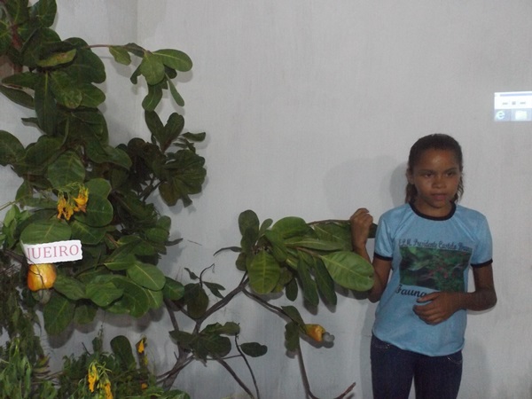 Explanação do final da jornada pedagógica 2014 e início dos trabalhos em 2015 - Imagem 116