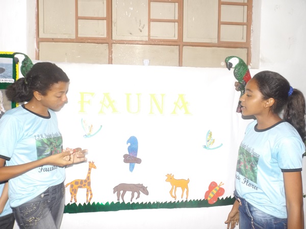 Explanação do final da jornada pedagógica 2014 e início dos trabalhos em 2015 - Imagem 118