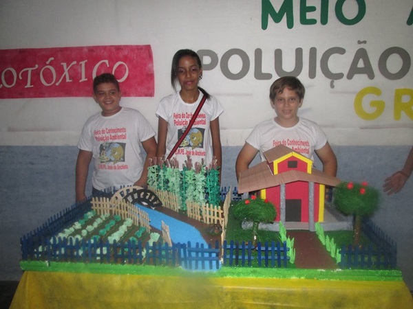 Explanação do final da jornada pedagógica 2014 e início dos trabalhos em 2015 - Imagem 25