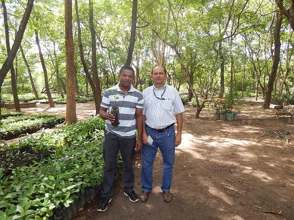 Lagoinha ganhou mudas de plantas para reflorestamento - Imagem 1