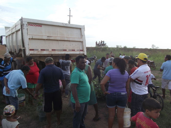 Prefeitura de Miguel Alves doa 600 mudas para arborização do município - Imagem 8