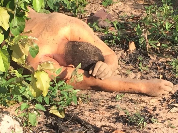 Homem tenta assaltar carro de policial e é morto a tiros no Piauí - Imagem 3