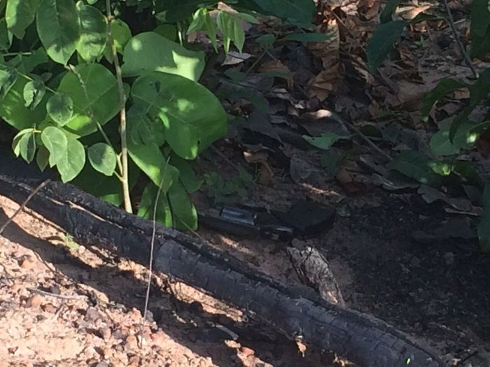 Homem tenta assaltar carro de policial e é morto a tiros no Piauí - Imagem 8