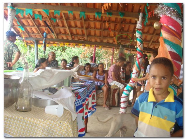 Inaugurado “Museu do Boi” no Cortado - Imagem 10