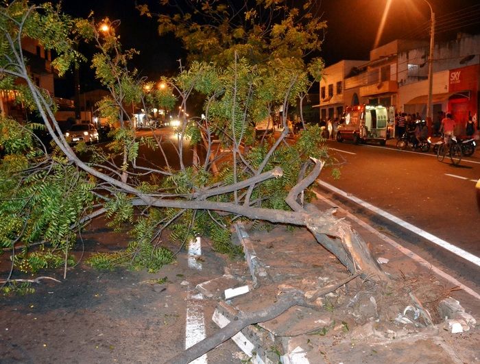 Motorista perde controle do carro, derruba árvore e sobe calçada no litoral do PI - Imagem 1