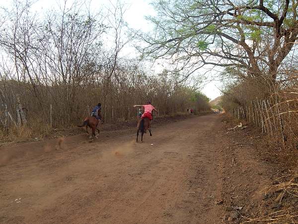Corrida de Cavalos movimentou o Festejo de Estaca Zero - Imagem 13