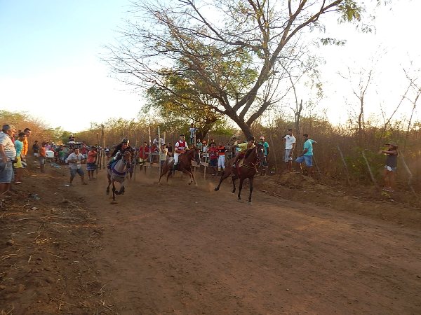 Corrida de Cavalos movimentou o Festejo de Estaca Zero - Imagem 14