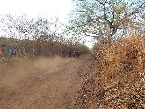 Corrida de Cavalos movimentou o Festejo de Estaca Zero - Imagem 11