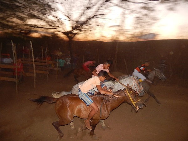 Corrida de Cavalos movimentou o Festejo de Estaca Zero - Imagem 17