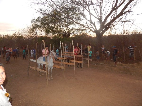 Corrida de Cavalos movimentou o Festejo de Estaca Zero - Imagem 16