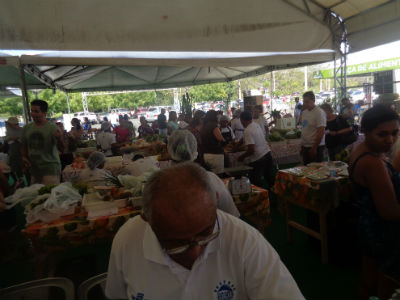 Feira Agroecológica - Imagem 9