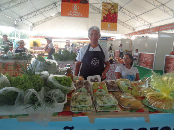 Feira Agroecológica - Imagem 4