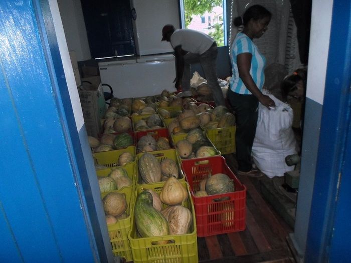 Famílias carentes de Oeiras são beneficiadas pelo PAA em ação da Prefeitura - Imagem 2