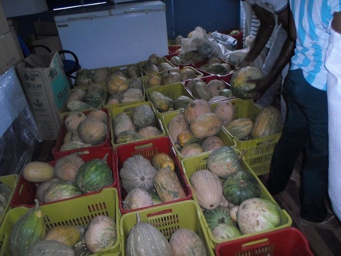 Famílias carentes de Oeiras são beneficiadas pelo PAA em ação da Prefeitura - Imagem 1