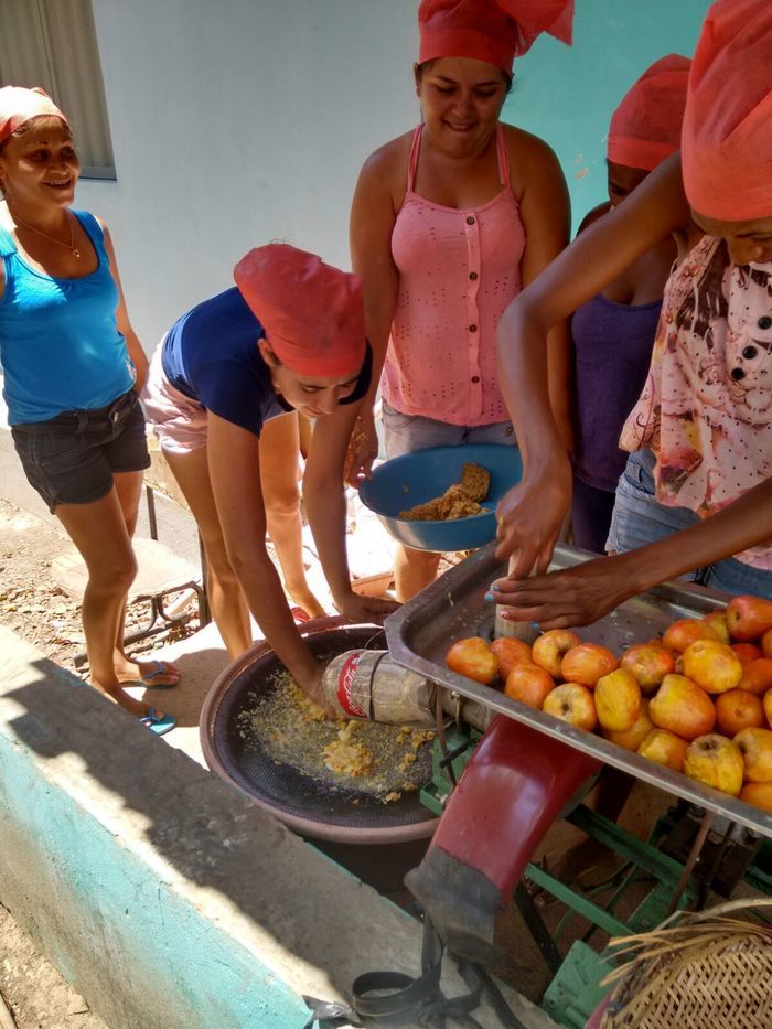 Curso de Aproveitamento do Pedúnculo do Caju Capacita Grupo de Mulheres No Brejo da Fortaleza - Imagem 33