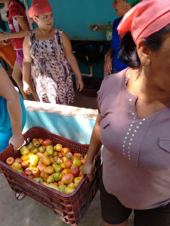 Curso de Aproveitamento do Pedúnculo do Caju Capacita Grupo de Mulheres No Brejo da Fortaleza - Imagem 17