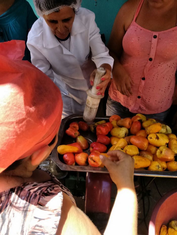 Curso de Aproveitamento do Pedúnculo do Caju Capacita Grupo de Mulheres No Brejo da Fortaleza - Imagem 19