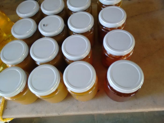 Curso de Aproveitamento do Pedúnculo do Caju Capacita Grupo de Mulheres No Brejo da Fortaleza - Imagem 18