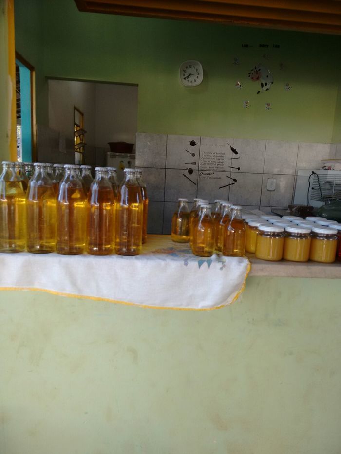 Curso de Aproveitamento do Pedúnculo do Caju Capacita Grupo de Mulheres No Brejo da Fortaleza - Imagem 26