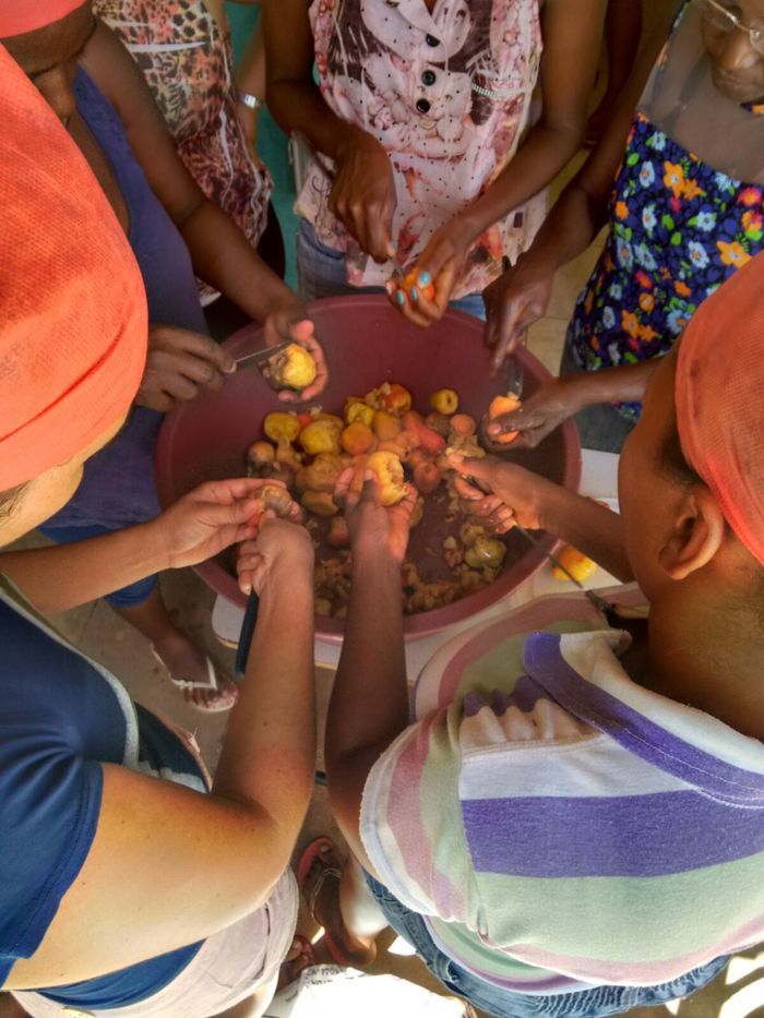 Curso de Aproveitamento do Pedúnculo do Caju Capacita Grupo de Mulheres No Brejo da Fortaleza - Imagem 8
