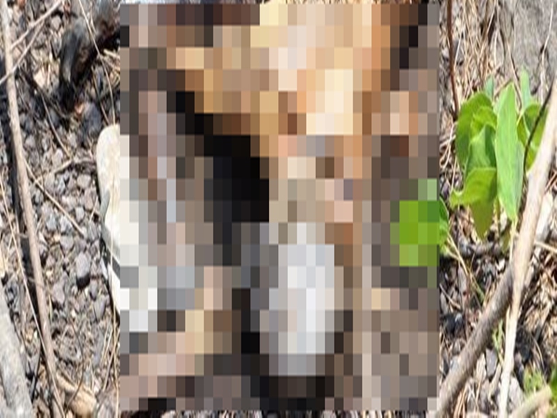 Corpo em avançado estado de decomposição é encontrado no município de Piripiri