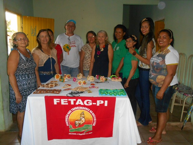 ASSARIPI Realiza Curso Com Fibra de Buriti - Imagem 44