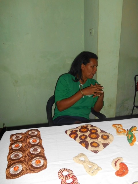 ASSARIPI Realiza Curso Com Fibra de Buriti - Imagem 13