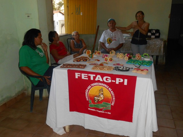 ASSARIPI Realiza Curso Com Fibra de Buriti - Imagem 2