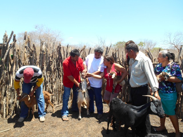 Universidade Federal Desenvolve Projeto em Ipiranga do Piauí - Imagem 31