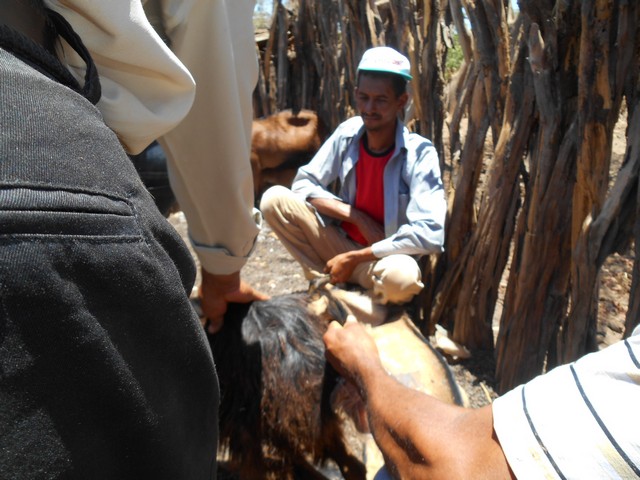 Universidade Federal Desenvolve Projeto em Ipiranga do Piauí - Imagem 89