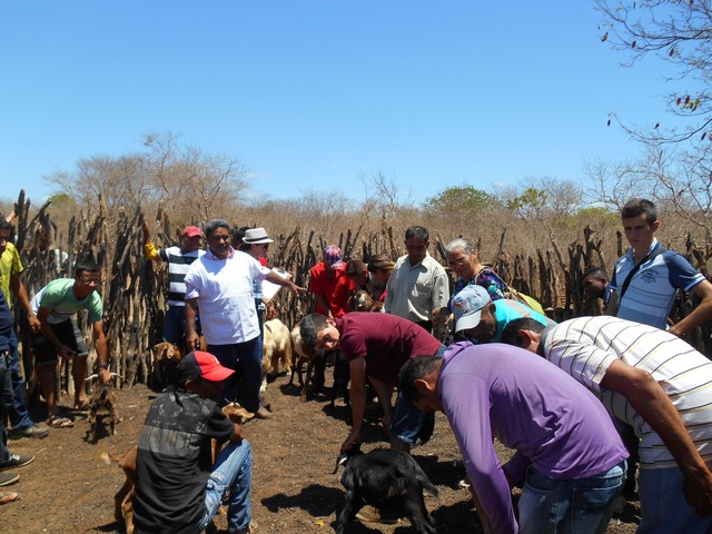 Universidade Federal Desenvolve Projeto em Ipiranga do Piauí - Imagem 40