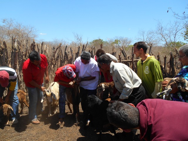 Universidade Federal Desenvolve Projeto em Ipiranga do Piauí - Imagem 35
