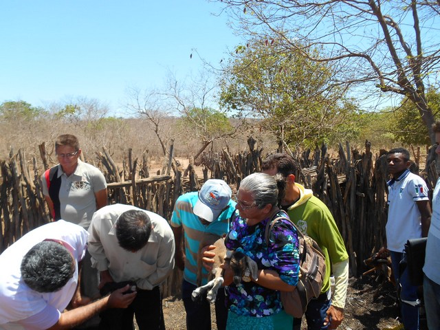 Universidade Federal Desenvolve Projeto em Ipiranga do Piauí - Imagem 32