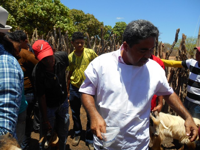 Universidade Federal Desenvolve Projeto em Ipiranga do Piauí - Imagem 62