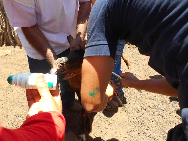 Universidade Federal Desenvolve Projeto em Ipiranga do Piauí - Imagem 76