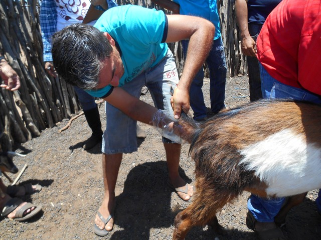 Universidade Federal Desenvolve Projeto em Ipiranga do Piauí - Imagem 80