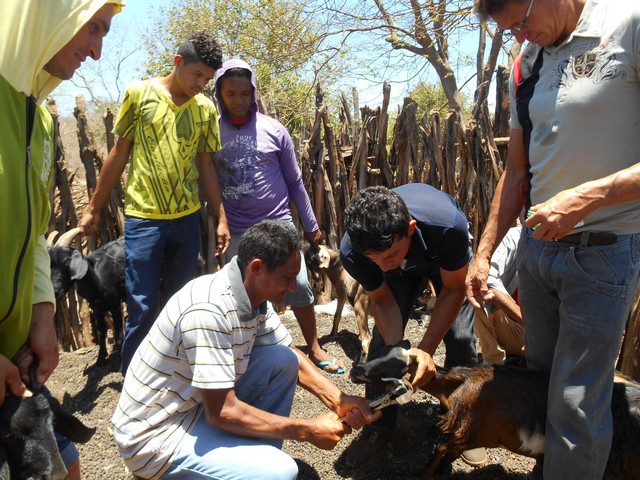 Universidade Federal Desenvolve Projeto em Ipiranga do Piauí - Imagem 83