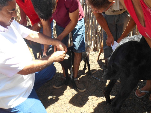Universidade Federal Desenvolve Projeto em Ipiranga do Piauí - Imagem 52