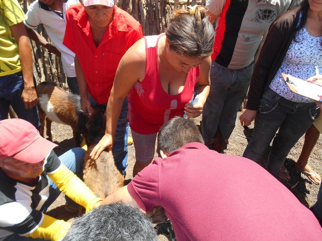 Universidade Federal Desenvolve Projeto em Ipiranga do Piauí - Imagem 63