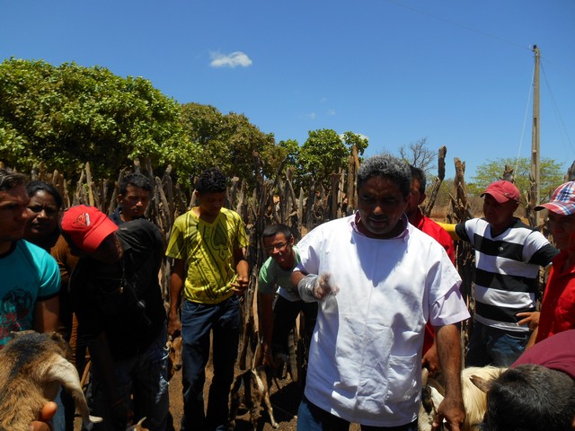 Universidade Federal Desenvolve Projeto em Ipiranga do Piauí - Imagem 56