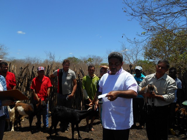 Universidade Federal Desenvolve Projeto em Ipiranga do Piauí - Imagem 48
